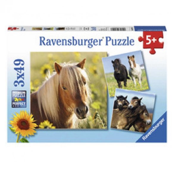 Puzzle 3x49 db - Szépséges lovak
