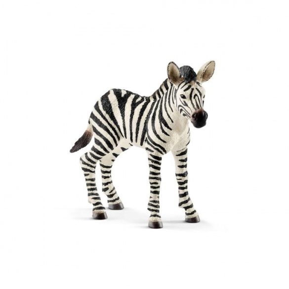 Schleich zebra csikó - 14811